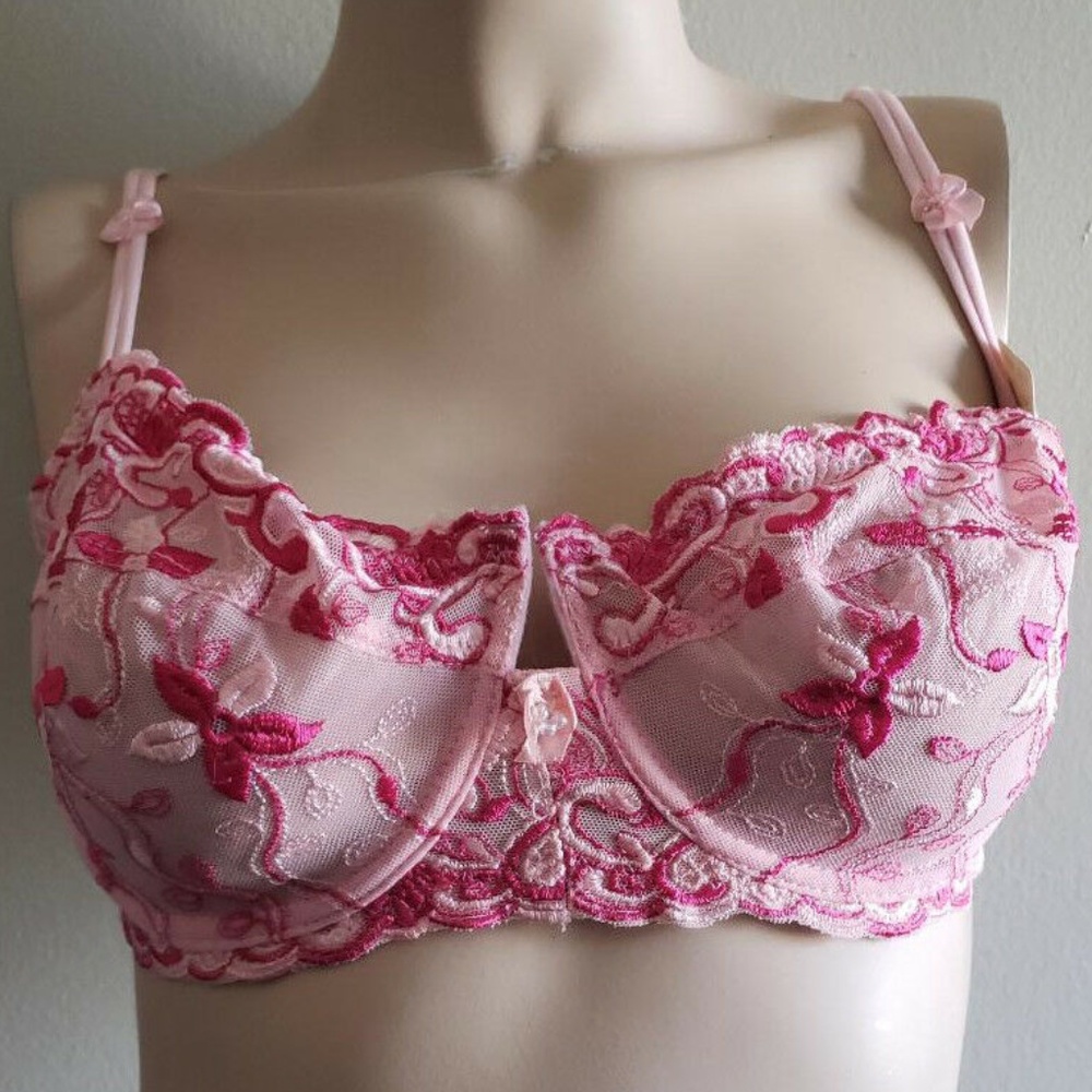 Native Intimates Pink Embroidered Underwire Bra